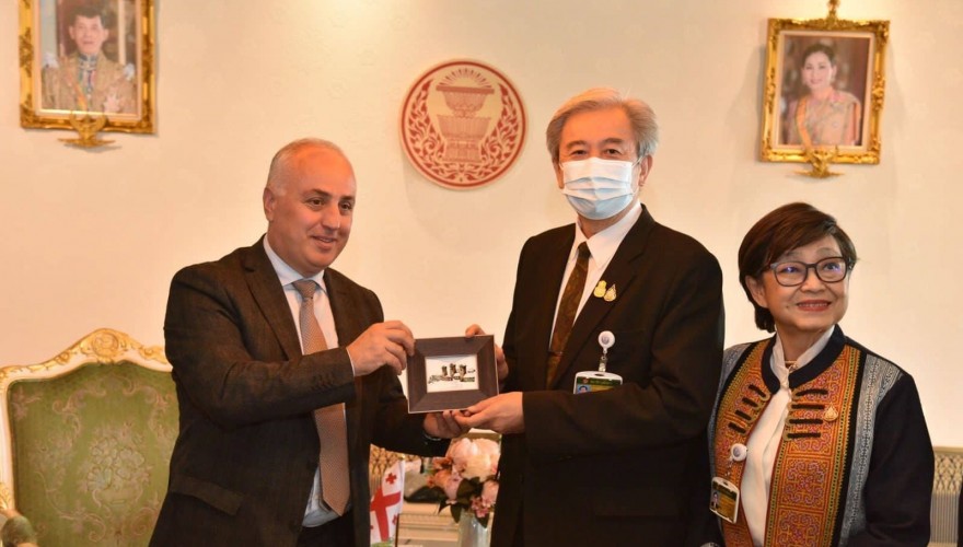 Meetings of the Parliamentary Group headed by Dimitri Khundadze in the National Assembly of Thailand