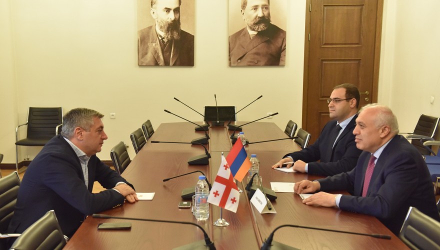 კახა კახიშვილი სომხეთის ელჩს შეხვდა