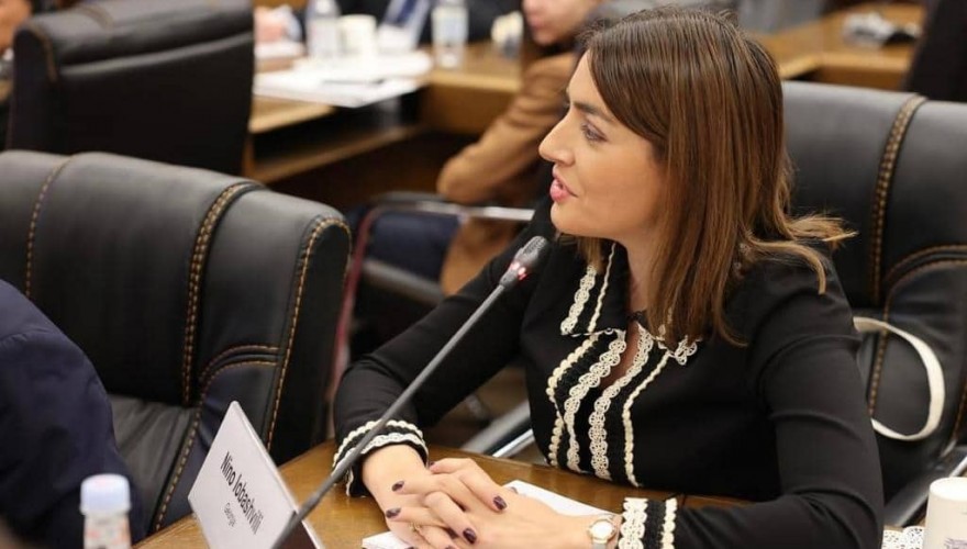 Nino Iobashvili Participating in Meeting of Group of Young Delegates of OSCE PA