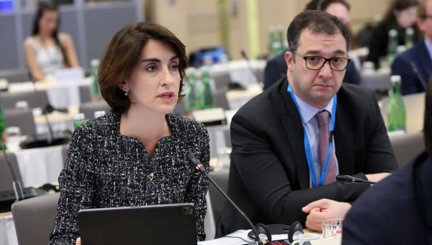 The EU Member State Parliamentarians adopted the Declaration and supported the European Perspective of Georgia