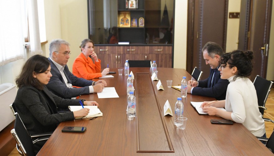 დავით სერგეენკო USAID-ის სამართლის უზენაესობის პროგრამის ხელმძღვანელს შეხვდა