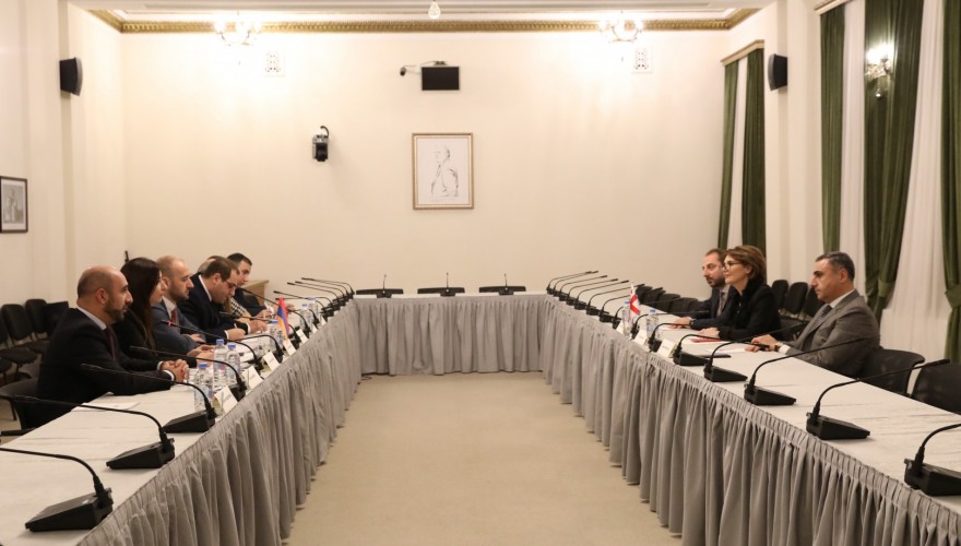 ელისო ბოლქვაძე სომხეთის რესპუბლიკის ეროვნული ასამბლეის წევრებს შეხვდა