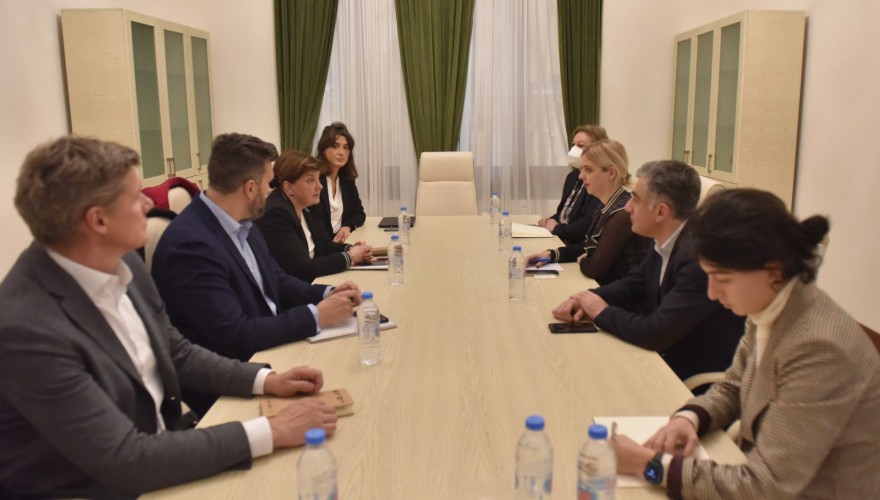 ხატია წილოსანი სტოკჰოლმის ინსტიტუტის მკვლევარებს შეხვდა