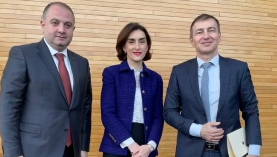 Meetings of Maka Botchorishvili and Irakli Chikovani in Strasbourg, EU Parliament
