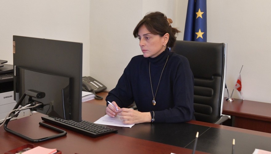 Online working meeting of Maia Bitadze with the MEP Bronis Ropė
