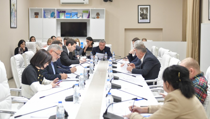 The Draft Municipal Code submitted for expedited consideration