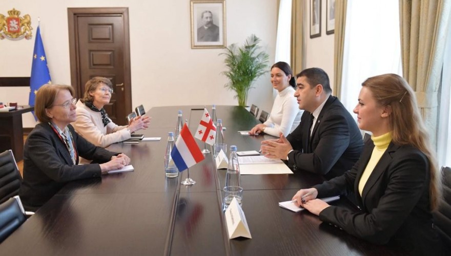 Meeting of Shalva Papuashvili with the Ambassador of the Netherlands