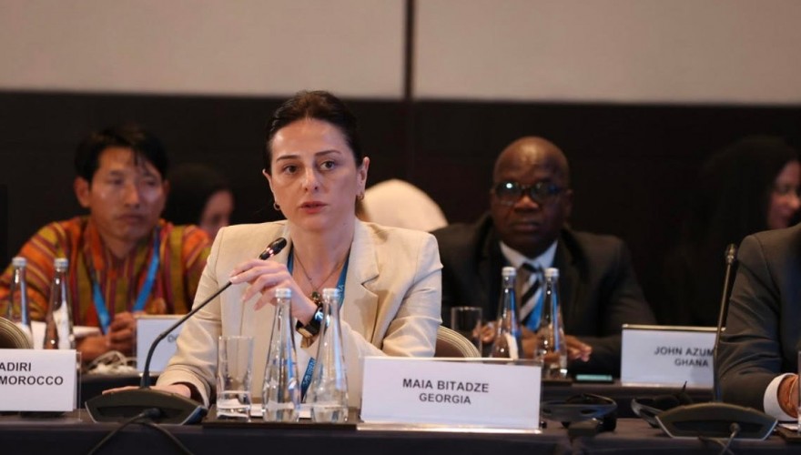 Maia Bitadze and Khatia Tsilosani participating in the Parliamentary Forum within the Abu Dhabi Sustainability Week