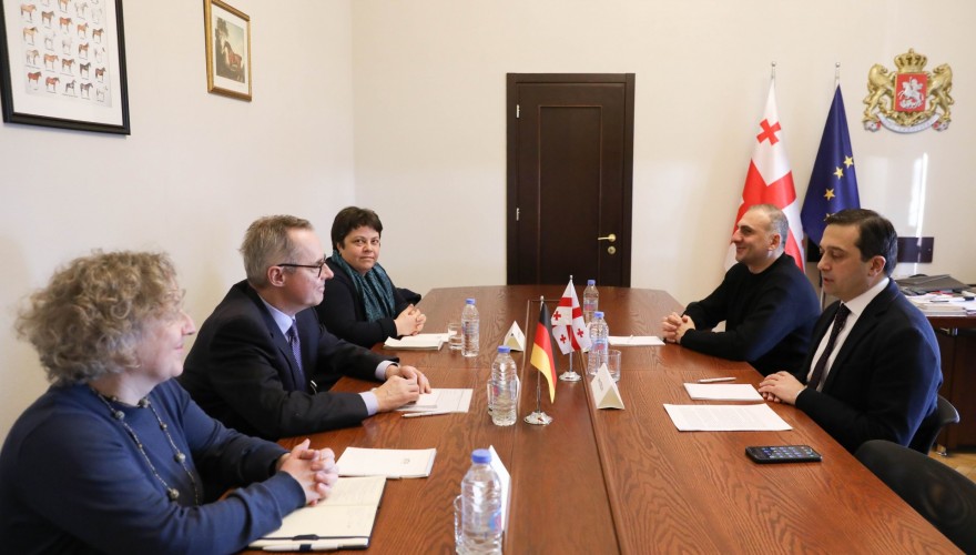 Levan Ioseliani and Alexander Elisashvili discussing compliance with the EU 12-point Recommendations with the German Ambassador