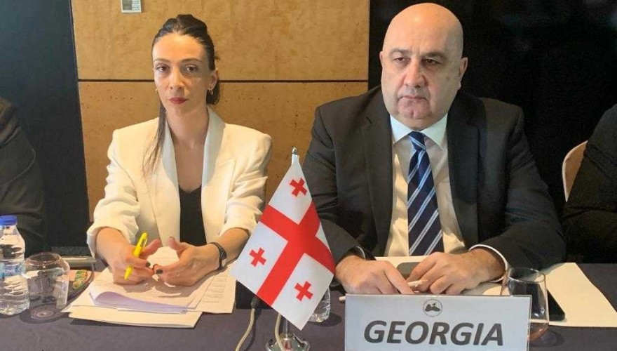 Ramaz Nikolaishvili participated in a meeting in Istanbul