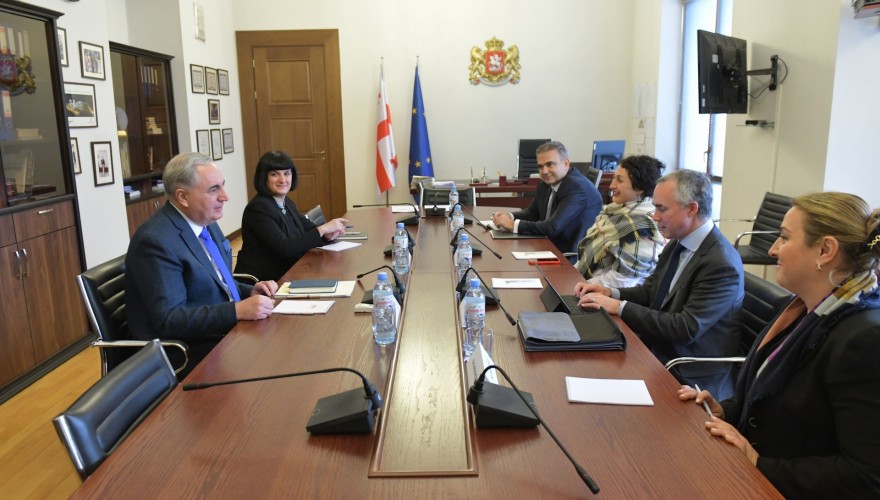 ირაკლი კოვზანაძე საერთაშორისო სავალუტო ფონდის მისიას შეხვდა