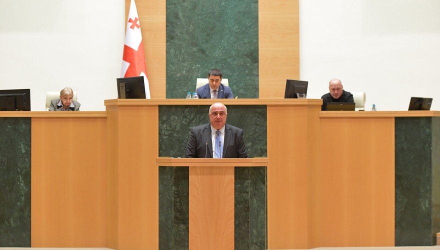 Irakli Medzmariashvili introduced the Activity Report for 2022 of the Sports and Youth Issues Committee