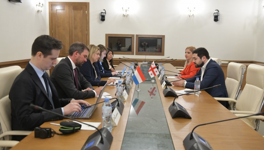 ლევან ქარუმიძე და ხატია წილოსანი ლუქსემბურგის დიდი საჰერცოგოს საპარლამენტო დელეგაციის წევრებს შეხვდნენ