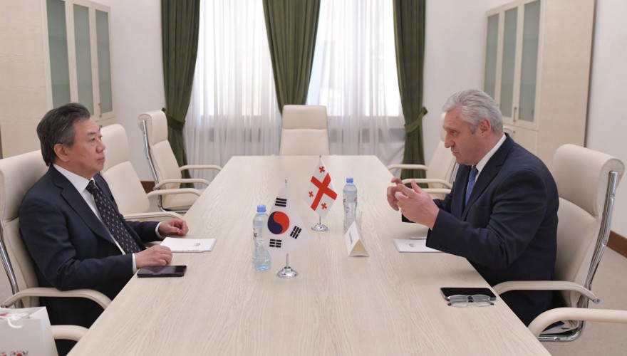 Meeting of Shota Khabareli with the Chargé d'Affaires of the Republic of Korea