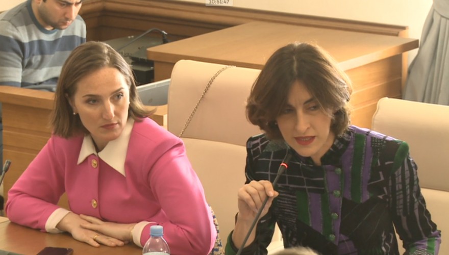 საგარეო ურთიერთობათა კომიტეტმა ევროკავშირი-საქართველოს ასოცირების საპარლამენტო კომიტეტში  საქართველოს პარლამენტის მუდმივმოქმედი დელეგაციის საქმიანობის შესახებ ანგარიში მოისმინა