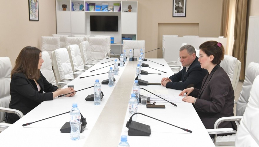 Ana Natsvlishvili and Armaz Akhvlediani Initiating Draft Law