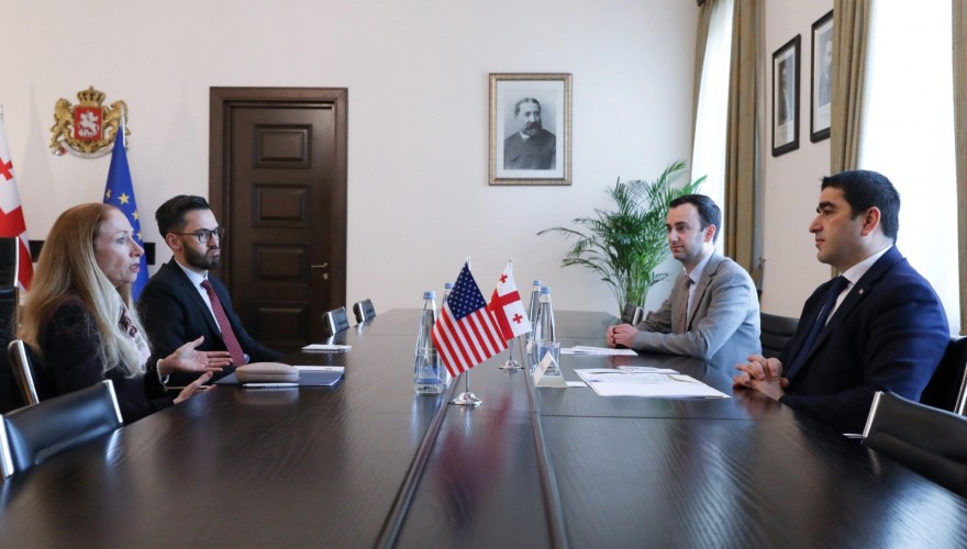 Meeting of Shalva Papuashvili with the US Ambassador