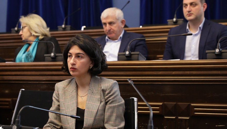 გარემოს დაცვისა და ბუნებრივი რესურსების კომიტეტის თავმჯდომარის მოადგილედ სალომე ქურასბედიანი აირჩიეს