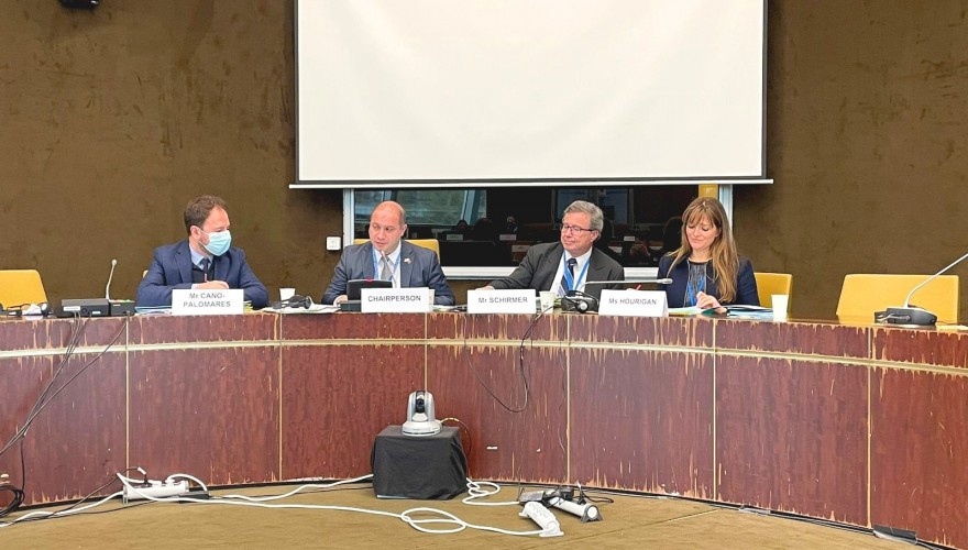 გივი მიქანაძე ევროპის საბჭოს საპარლამენტო ასამბლეის ადამიანის უფლებათა ევროპული სასამართლოს გადაწყვეტილებათა აღსრულების ქვეკომიტეტის თავმჯდომარედ აირჩიეს