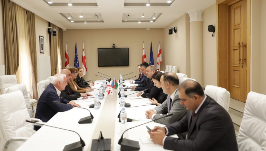 Meeting of Irakli Medzmariashvili with the Vice-Speaker of Milli Majlis