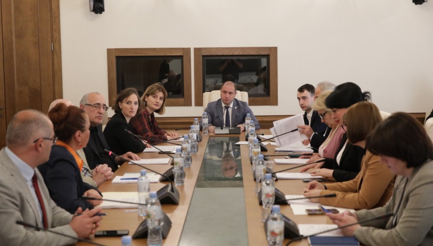 განათლებისა და მეცნიერების კომიტეტთან 5 ახალი სამეცნიერო-საკონსულტაციო საბჭო შეიქმნება
