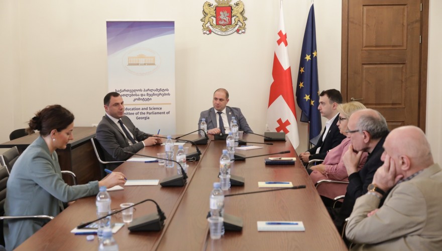Meeting of the Education and Science Committee members with Giorgi Amilakhvari