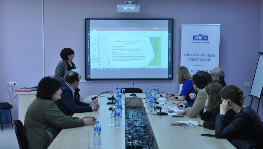 Offsite Session of Culture Committee in Telavi