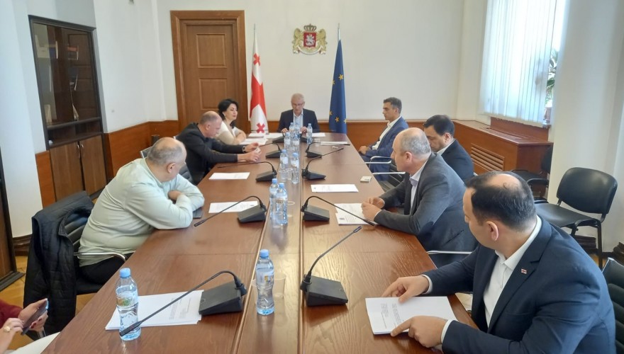 The Procedural Issues and Rules Committee approved the recognition of the Credentials for Giorgi Khakhubia and Salome Jinjolava