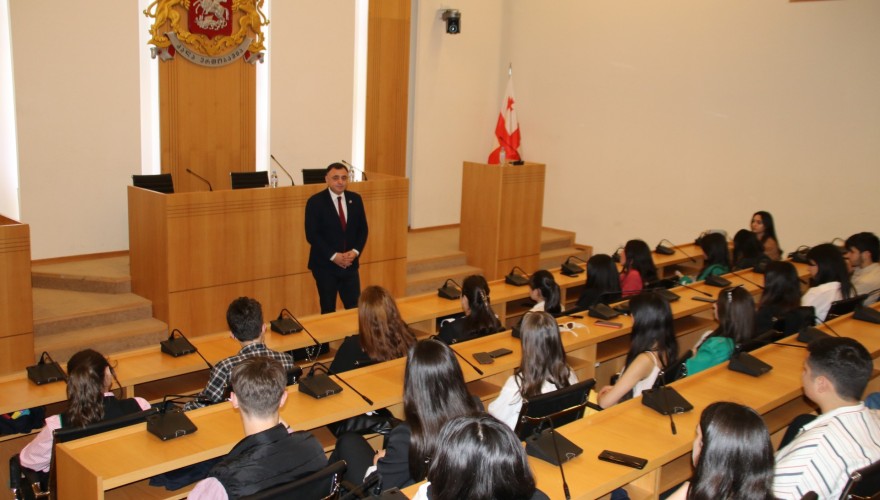 გოგი მეშველიანი ბოლნისის მუნიციპალიტეტის ახალგაზრდებს შეხვდა