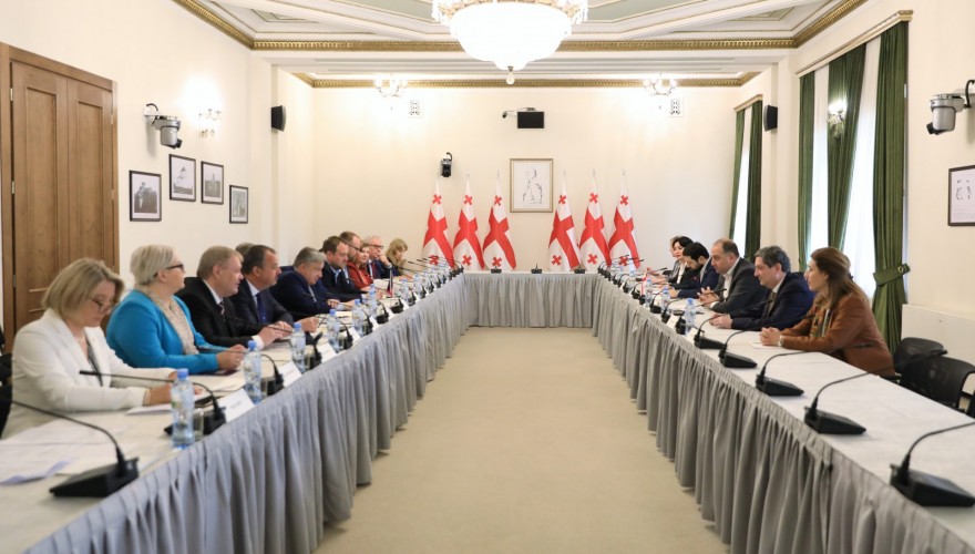 ირაკლი ჩიქოვანი ჩეხეთის რესპუბლიკის საპარლამენტო დელეგაციის წევრებს შეხვდა