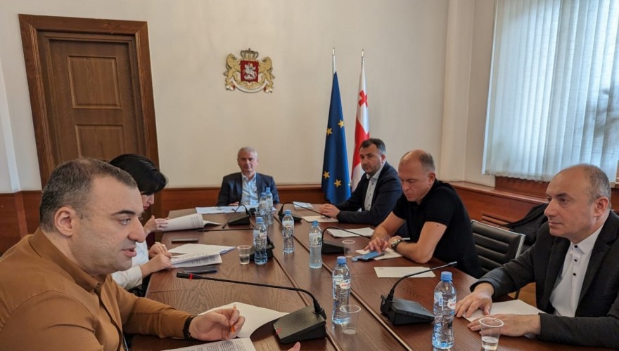 Irakli Kadagishvili: improvement of the current mechanisms and procedures will ensure flexibility of the Rules of Procedure and its adequacy to the challenges