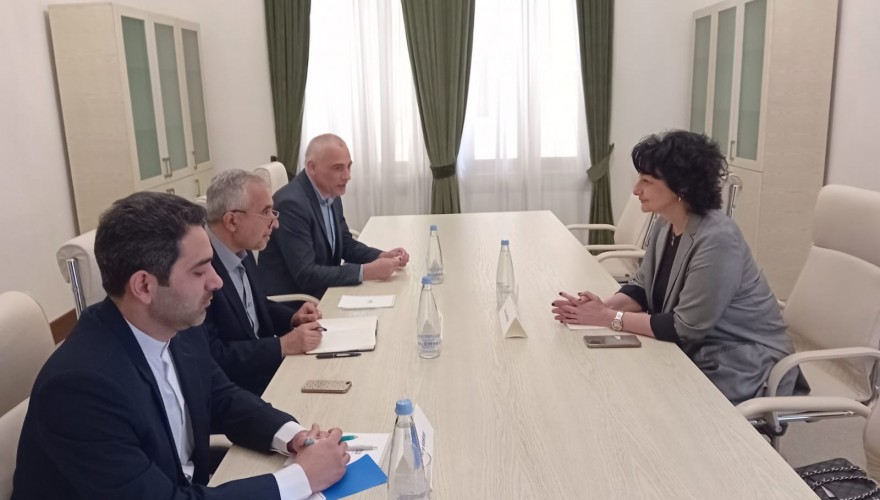 ნატო ჩხეიძე საქართველოში ირანის ელჩის მრჩეველს შეხვდა