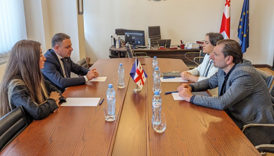 Meeting of Aluda Gudushauri with the Director of the Regional Health Center