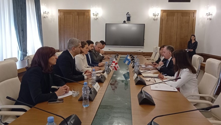 მარიამ ლაშხი და ლევან ქარუმიძე პოლიტიკის საკითხებში არგენტინის რესპუბლიკის სახელმწიფო მდივანს შეხვდნენ