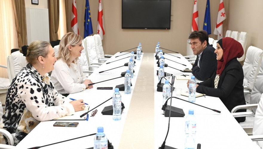 Meeting of Khatia Tsilosani with Director of People in Need on Legislative Changes, Tax and Social Benefits