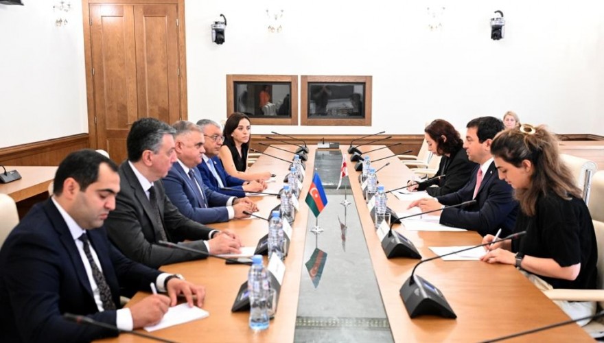 არჩილ თალაკვაძე აზერბაიჯანი-საქართველოს მეგობრობის ჯგუფის ხელმძღვანელს, არზუ ნაღიევს შეხვდა