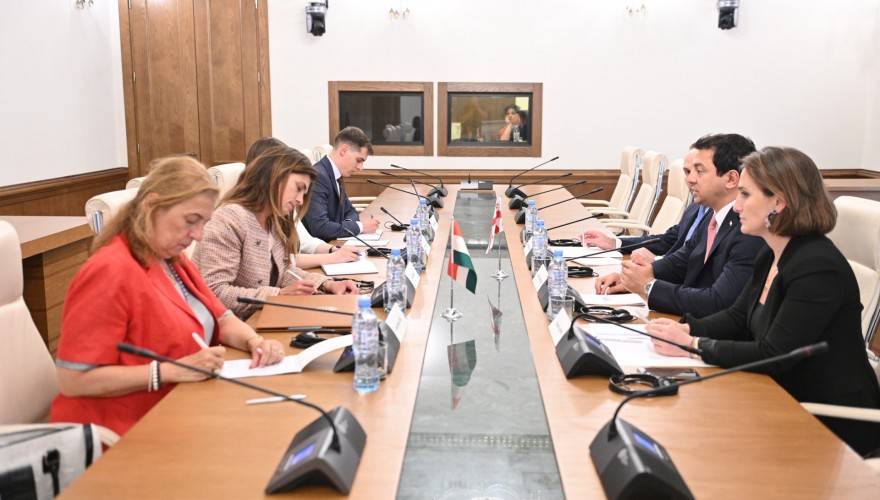 არჩილ თალაკვაძე: ვაფასებთ უნგრეთის ძლიერ მხარდაჭერას ევროპული ინტეგრაციის გზაზე. იუსტიციის მინისტრმა შეხვედრაზე ეს კიდევ ერთხელ მკაფიოდ გაიმეორა