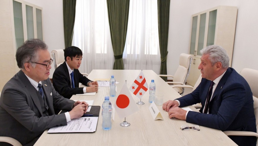 Meeting of Shota Khabareli with the Ambassador of Japan