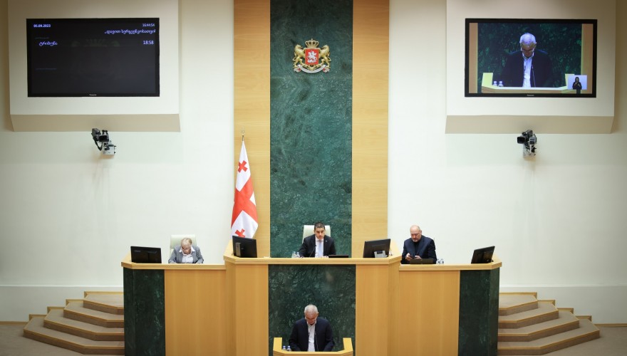 Parliament Endorsing Termination of Credentials of MP Ketevan Dumbadze