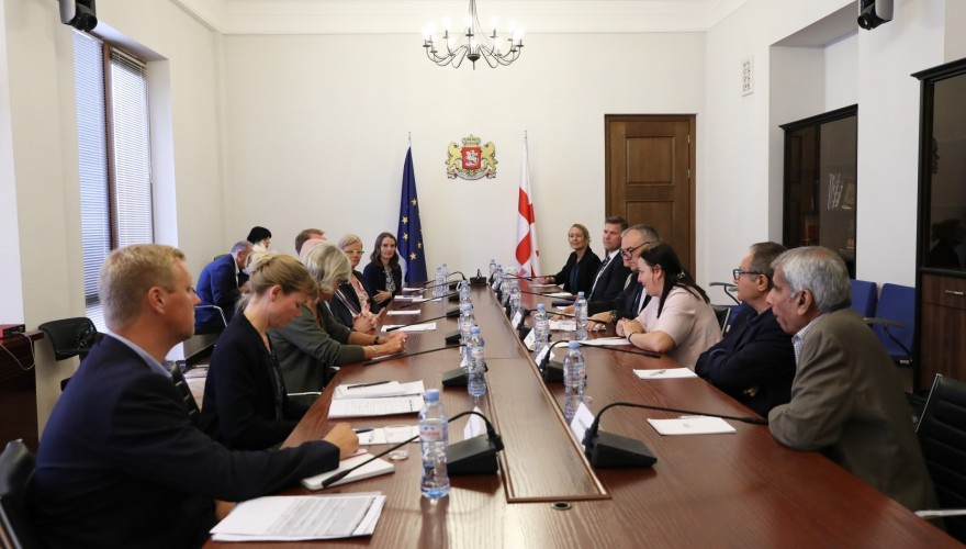 ვლადიმერ კახაძე დიაბეტის მსოფლიო ფონდის წარმომადგენლობით დელეგაციას შეხვდა