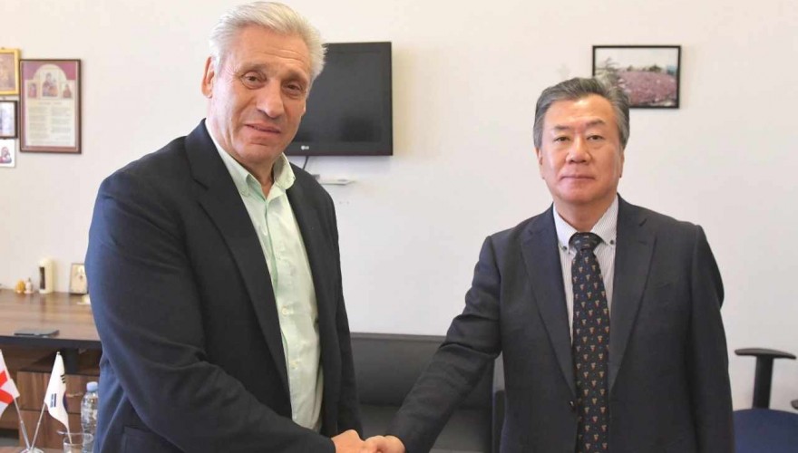 Meeting of Shota Khabareli with Chargé d'Affaires of the Republic of Korea