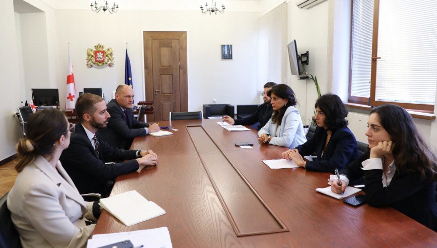 მაია ბითაძე და სალომე ქურასბედიანი გაეროს განვითარების პროგრამის (UNDP) წარმომადგენლებს შეხვნენ