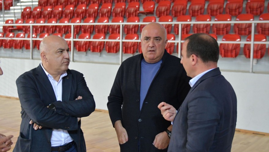 Sports and Youth Issues Committee Inspecting Sports Infrastructure in Telavi