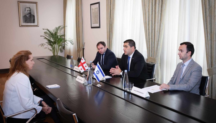 შალვა პაპუაშვილი საქართველოში ისრაელის ელჩს ჰადას მეიცადს შეხვდა