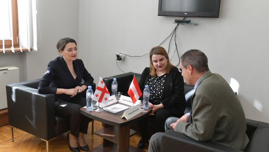 თამარ ჩარკვიანი საქართველოში ავსტრიის ელჩს, თომას მიულმანს შეხვდა