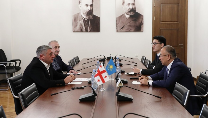 კახა კახიშვილი ყაზახეთის ელჩს შეხვდა