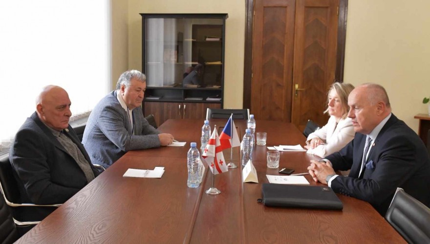 ავთანდილ ენუქიძე ჩეხეთის რესპუბლიკის ელჩს შეხვდა