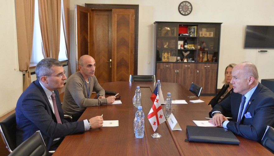 მამუკა მდინარაძე ჩეხეთის ელჩს შეხვდა