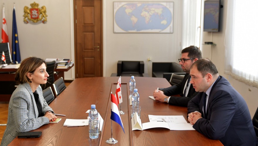 Meeting of Nikoloz Samkharadze with the Ambassador of the Netherlands