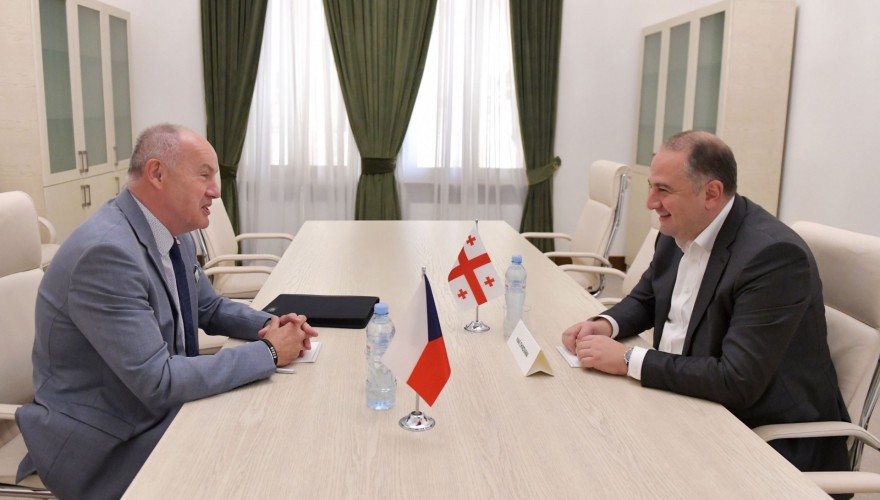 ირაკლი ჩიქოვანი ჩეხეთის რესპუბლიკის საგანგებო და სრულუფლებიან ელჩს შეხვდა